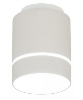 Потолочный светильник CL745010N