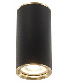 Потолочный светильник ST111.437.01