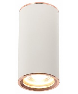 Потолочный светильник ST111.527.01