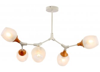 Потолочный светильник Ciotolla SLE113502-05