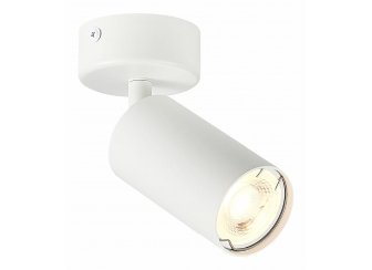 Потолочный светильник ST303.502.01