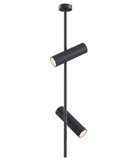 Потолочный светильник Elti C021CL-02B