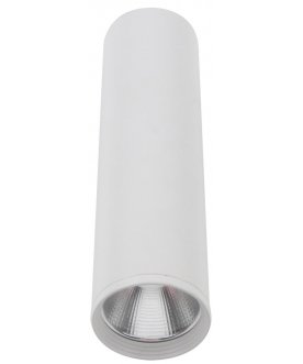 Потолочный светильник 08570-20,01