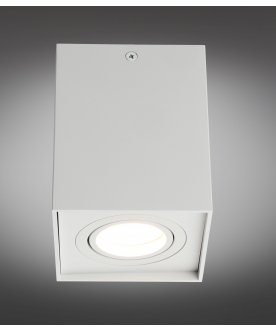 Потолочный светильник Feletto OML-101109-01