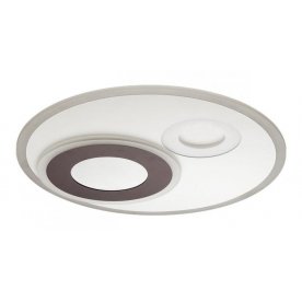 Потолочный светильник Fern 4501/85CL