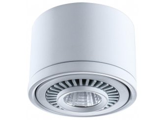 Потолочный светильник Круз 637018701