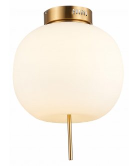 Потолочный светильник SL1621.202.01