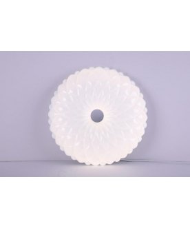 Потолочный светильник LBS-1005