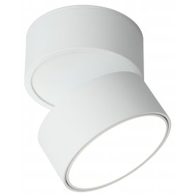 Потолочный светильник Lenno OML-101309-12