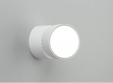 Потолочный светильник Lenno OML-101309-12