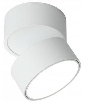 Потолочный светильник Lenno OML-101309-18