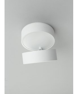 Потолочный светильник Lenno OML-101309-18