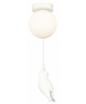 Потолочный светильник SLE115402-01