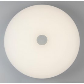 Потолочный светильник Норден 660012901