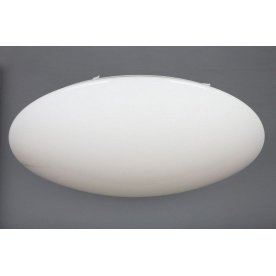 Потолочный светильник OML-43007-100