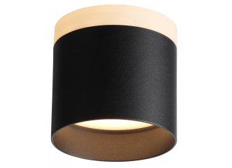 Потолочный светильник Panaggio