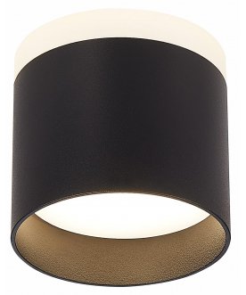 Потолочный светильник ST102.442.09