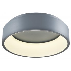 Потолочный светильник V2284-CL