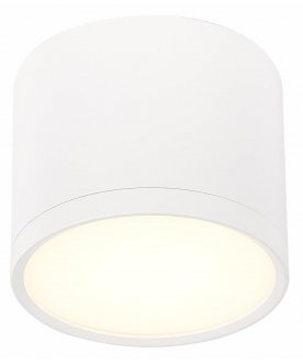 Потолочный светильник ST113.532.09