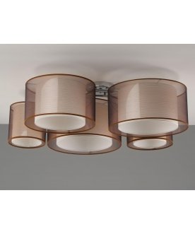 Потолочный светильник V10624-5C