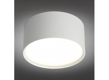 Потолочный светильник Salentino OML-100909-12