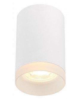 Потолочный светильник ST100.502.01