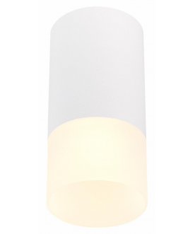 Потолочный светильник ST100.512.01