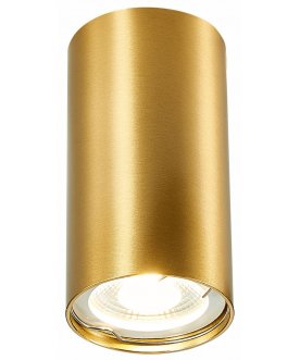 Потолочный светильник ST110.207.01