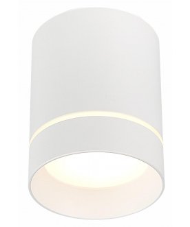 Потолочный светильник ST115.542.12