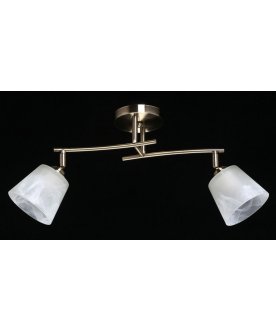 Потолочный светильник Тетро