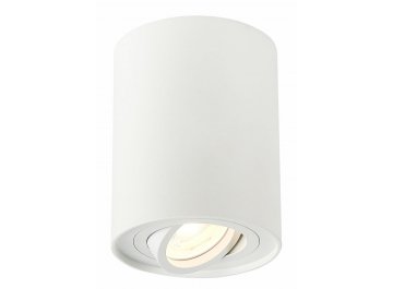 Потолочный светильник ST108.517.01