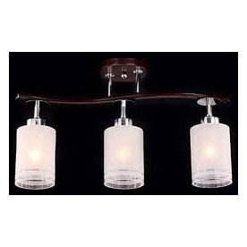 Спот Фортуна CL156131