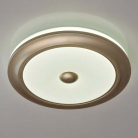 Потолочный светильник Энигма 688010301