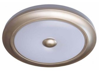 Потолочный светильник Энигма 688010301