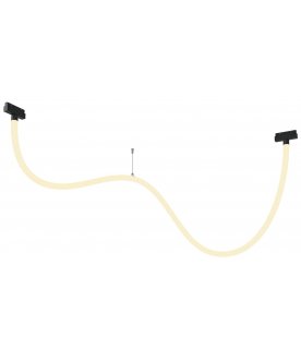 Трековый светильник TR101-2-50W3K-B