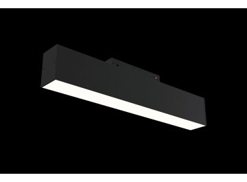 Трековый светильник lamps TR012-2-12W4K-B