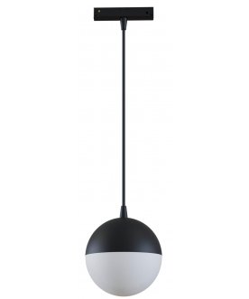 Трековый светильник lamps TR018-2-10W4K-B
