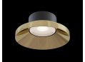 Встраиваемый светильник Kappell DL040-L10G4K