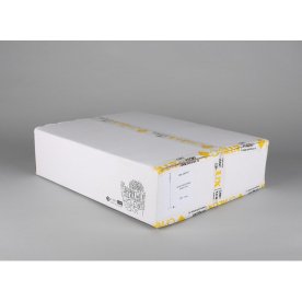 Торшер Filottrano OML-63505-01