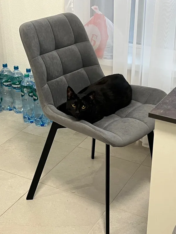 Комплект стульев крутящихся Форт 2 шт розовый (hl 41) / 1П белый каркас фото покупателя 75