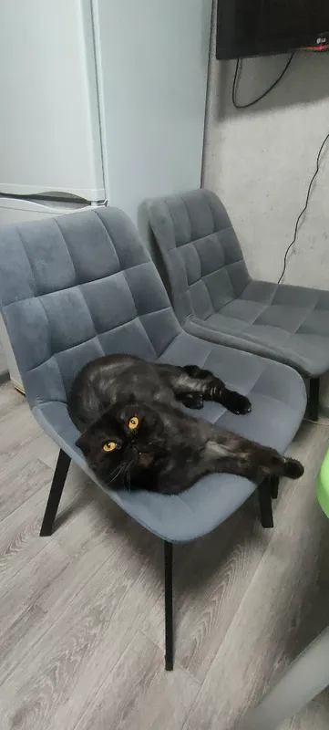 Комплект стульев крутящихся Форт 2 шт розовый (hl 41) / 1П белый каркас фото покупателя 120