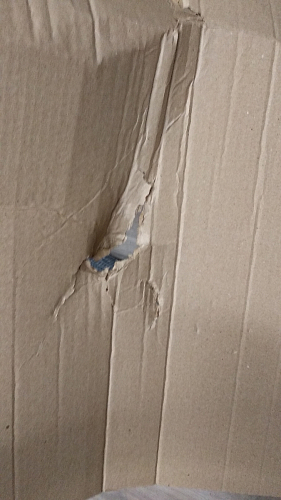 Стул на металлокаркасе Чилли зеленый / черный фото покупателя 1503