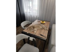 Стол Центавр дуб галифакс / черный матовый фото покупателя 42