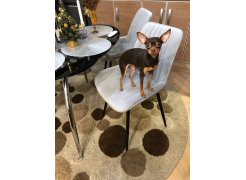 Стул на металлокаркасе Вейв П темно-серый / черный фото покупателя 225