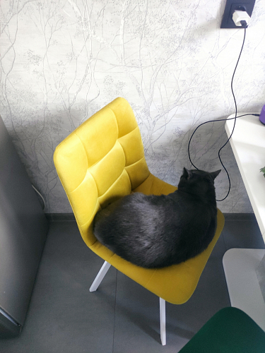 Стул на металлокаркасе Чилли синий / белый фото покупателя 1362