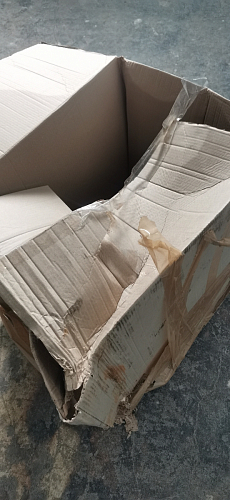 Стул Cindy Eames mod. 001 khaki / natural фото покупателя 284