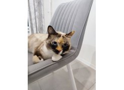 Стул на металлокаркасе Седа К 02 светло-серый / белый фото покупателя 128