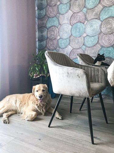 Стул на металлокаркасе Slam тёмно-серый фото покупателя 2