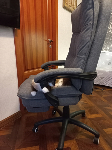 Компьютерное кресло Rapid серое фото покупателя 214