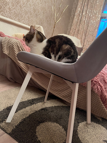 Стул на металлокаркасе Челси К крутящийся бирюзовый / черный фото покупателя 132